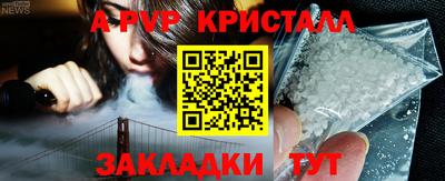 шишки Нарткала